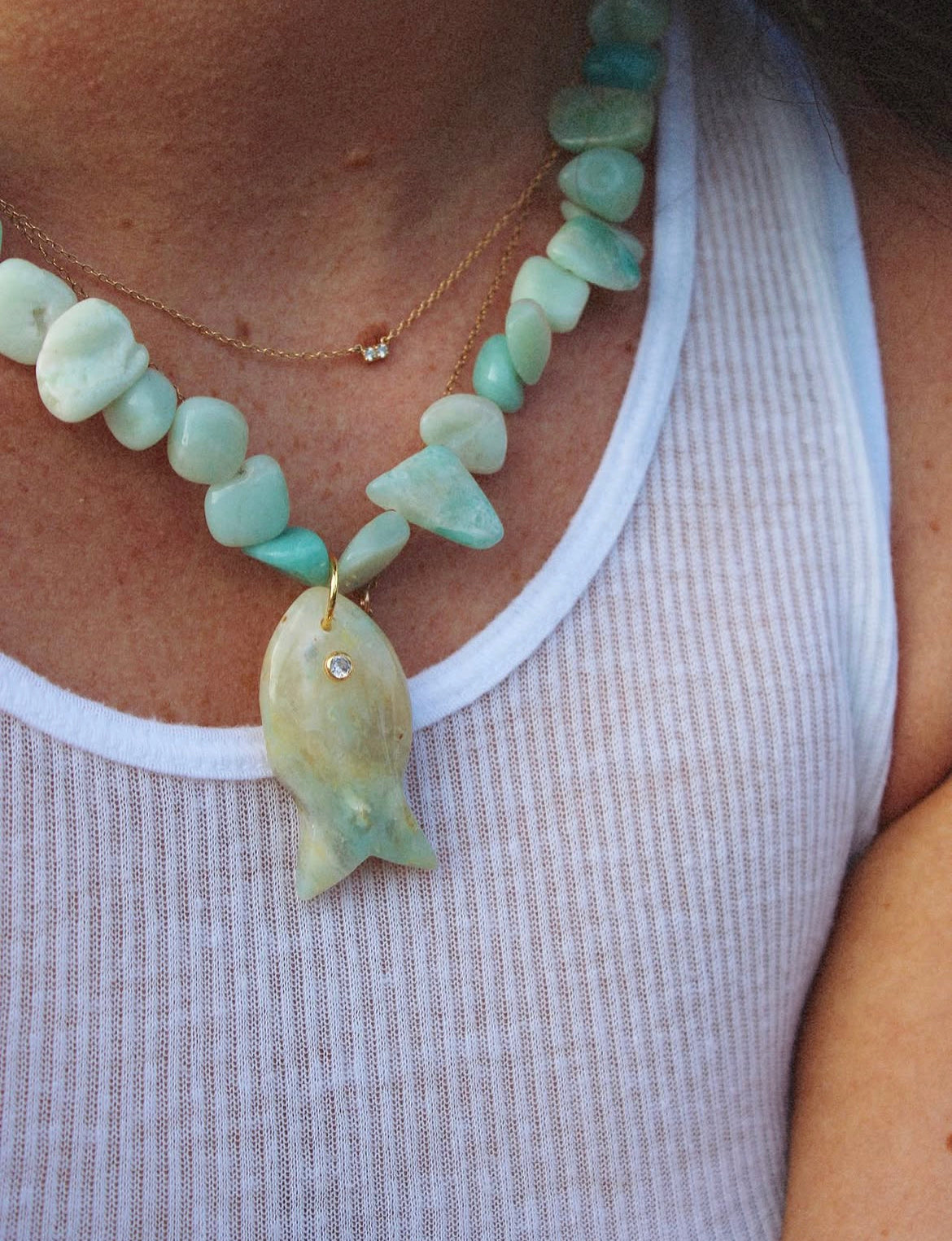 The Aqua Stone Fish
